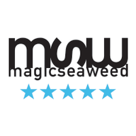 Magic Seaweed logo
